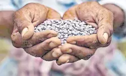 రైతు స్వేదం... వ్యాపారికి సౌధం