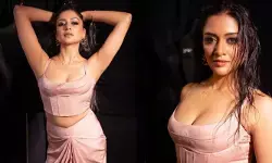 వయసు పెరిగినా తగ్గని గ్లామర్.. అదుర్స్ అనిపించే అందాలతో ఫిదా చేస్తున్న విమలా రామన్