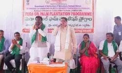 ఆయిల్ పామ్ సాగుతోనే రైతులకు మేలు ఆయిల్ పామ్ సాగుతోనే రైతులకు మేలు