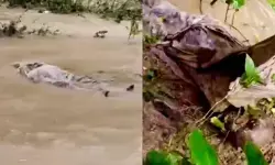 భారీ వర్షాలు.. నీట మునిగిన స్మశాన వాటిక.. కొట్టుకు పోయిన మృతదేహాలు భారీ వర్షాలు.. నీట మునిగిన స్మశాన వాటిక.. కొట్టుకు పోయిన మృతదేహాలు