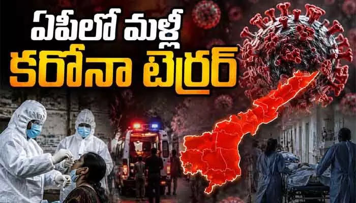 Corona: ఏపీలో మళ్లీ కరోనా టెర్రర్.. ఇద్దరు మృతి, మరో ఐదుగురికి పాజిటివ్ Corona: ఏపీలో మళ్లీ కరోనా టెర్రర్.. ఇద్దరు మృతి, మరో ఐదుగురికి పాజిటివ్