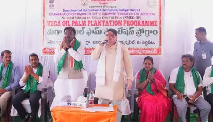 ఆయిల్ పామ్ సాగుతోనే రైతులకు మేలు ఆయిల్ పామ్ సాగుతోనే రైతులకు మేలు