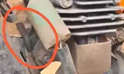 స్కూటీలో నాగు పాము కలకలం