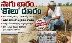 సాగు భారం..‘కౌలు’ దూరం సాగు భారం..‘కౌలు’ దూరం