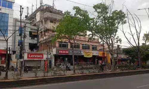 నీళ్లు పోసినా నిరుపయోగమే.. వర్షాకాలంలో చిగురించని మొక్కలు