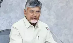 వియత్నాం పడవ ప్రమాదంపై సీఎం చంద్రబాబు సమీక్ష వియత్నాం పడవ ప్రమాదంపై సీఎం చంద్రబాబు సమీక్ష