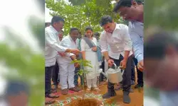 పర్యావరణ పరిరక్షణే మానవాళి సంరక్షణ పర్యావరణ పరిరక్షణే మానవాళి సంరక్షణ