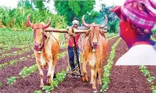 ఊపందుకోని ఖరీఫ్ సాగు