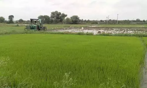 పొలాల్లో.. రైతన్నలు బిజి బిజి