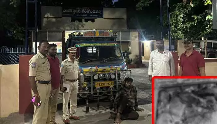 అడవి పందుల అక్రమ రవాణా.. అడవి పందుల అక్రమ రవాణా..