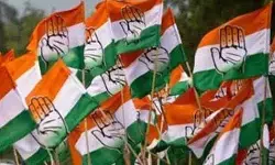 నామినేటెడ్ పదవులపై పై మీనాక్షి నటరాజన్ సమక్షంలో తుది నిర్ణయం నామినేటెడ్ పదవులపై పై మీనాక్షి నటరాజన్ సమక్షంలో తుది నిర్ణయం