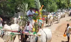ఎక్కడున్నావ్ వరుణదేవా..! ఎక్కడున్నావ్ వరుణదేవా..!