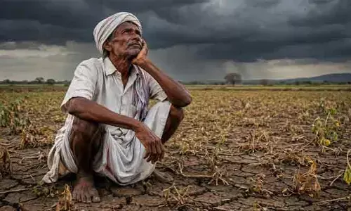 ఎండుతున్న పంటలు.. ఆందోళనలో రైతన్నలు