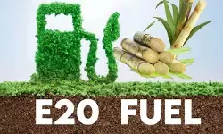 E20 ఎఫెక్ట్.. భారీగా పెరిగిన చెరుకు సాగు