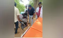 చెట్టు పై నుండి పడిన జూనియర్ లైన్ మెన్ కు తీవ్రగాయాలు