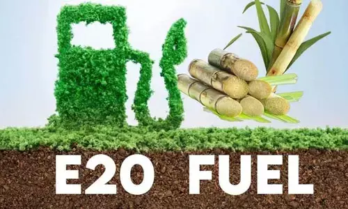 E20 ఎఫెక్ట్.. భారీగా పెరిగిన చెరుకు సాగు