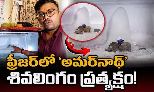 VIRAL: సాక్షాత్తూ పరమశివుడి లీలే..! ఫ్రీజర్‌లో ‘అమర్‌నాథ్’ శివలింగం ప్రత్యక్షం