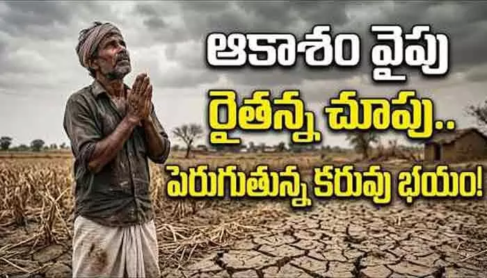 కళ్లముందే ఎండిపోతున్న ఖరీఫ్ పంటలు.. వరుణ దేవా కరుణించవా! కళ్లముందే ఎండిపోతున్న ఖరీఫ్ పంటలు.. వరుణ దేవా కరుణించవా!