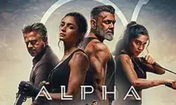 బాలీవుడ్కు ఆల్ఫా ఫలితం గట్టి హెచ్చరికేనా? బాలీవుడ్కు ఆల్ఫా ఫలితం గట్టి హెచ్చరికేనా?