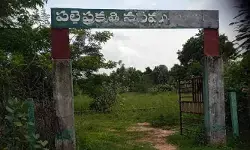 పల్లె ప్రకృతి వనం ఫెన్సింగ్ మాయం..!