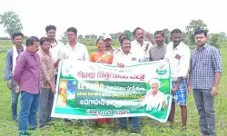 ఎల్ నినో ప్రభావం.. రైతులు అప్రమత్తంగా ఉండాలి ఎల్ నినో ప్రభావం.. రైతులు అప్రమత్తంగా ఉండాలి