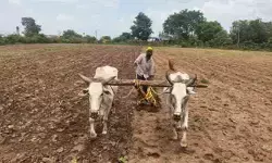 గోదావరి జలతాకిడికి మాయమవుతున్న శతాబ్దాల మర్రిచెట్టు
