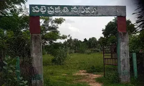 పల్లె ప్రకృతి వనం ఫెన్సింగ్ మాయం..!