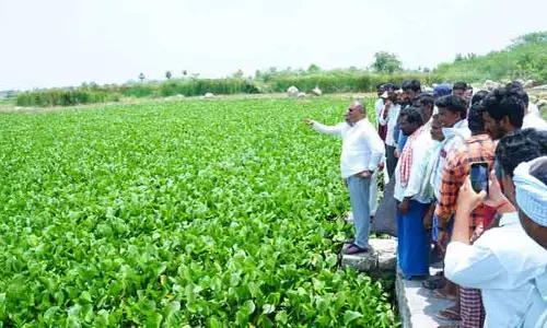 చెరువు గండిని అత్యవసరంగా పూడ్చాలి : ఎమ్మెల్యే బత్తుల లక్ష్మారెడ్డి