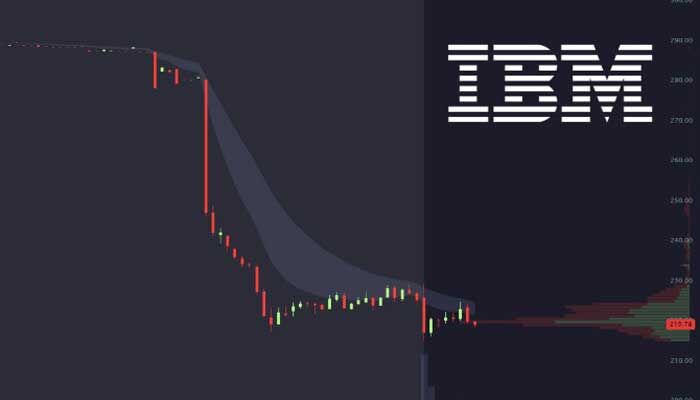 AI మీద IBM కామెంట్.. గంటల వ్యవధిలో రూ.6.7 లక్షల సంపద ఆవిరి