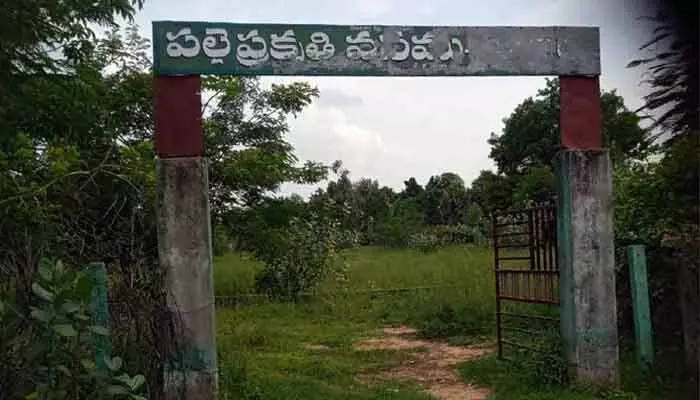పల్లె ప్రకృతి వనం ఫెన్సింగ్ మాయం..! పల్లె ప్రకృతి వనం ఫెన్సింగ్ మాయం..!