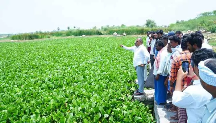 చెరువు గండిని అత్యవసరంగా పూడ్చాలి : ఎమ్మెల్యే బత్తుల లక్ష్మారెడ్డి చెరువు గండిని అత్యవసరంగా పూడ్చాలి : ఎమ్మెల్యే బత్తుల లక్ష్మారెడ్డి