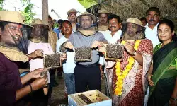 వరికి బదులు ప్రత్యామ్నాయ పంటలు వేసుకోవాలి.. రైతులకు మంత్రి సీతక్క సూచన వరికి బదులు ప్రత్యామ్నాయ పంటలు వేసుకోవాలి.. రైతులకు మంత్రి సీతక్క సూచన