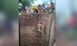 మూగ జీవికి పునర్జన్మ.. బావిలో పడ్డ జింకను కాపాడిన ఫారెస్ట్ సిబ్బంది మూగ జీవికి పునర్జన్మ.. బావిలో పడ్డ జింకను కాపాడిన ఫారెస్ట్ సిబ్బంది