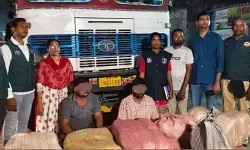 రోజుకో కొత్త ఎత్తుగడ.. లారీ క్యాబిన్‌లో కోట్ల విలువైన గంజాయి తరలింపు