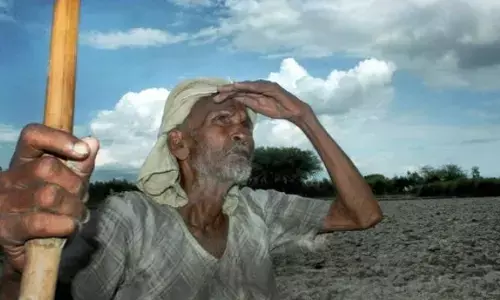 కన్నీళ్ల ఖరీఫ్.. నెలన్నర రోజులుగా తీవ్ర వర్షాభావం