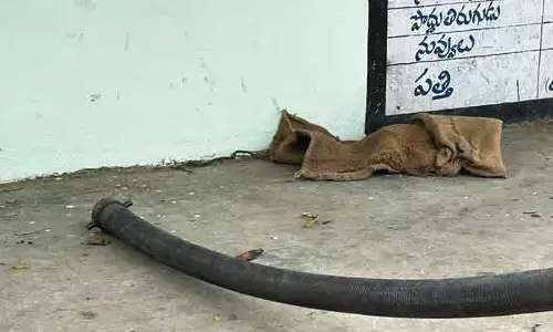 కేసముద్రం వ్యవసాయ మార్కెట్‌లో పాము కలకలం