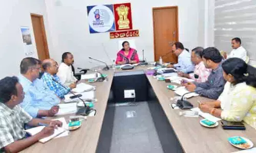 ఎల్‌నినో ప్రభావం నేపథ్యంలో ప్రత్యామ్నాయ పంటల కార్యాచరణ అమలు చేయాలి