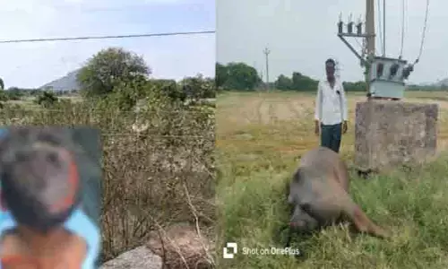విద్యుత్ అధికారుల నిర్లక్ష్యం.. ప్రజలు, మూగజీవాల ప్రాణాలకు ముప్పు