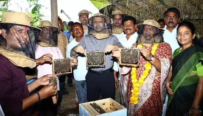 వరికి బదులు ప్రత్యామ్నాయ పంటలు వేసుకోవాలి.. రైతులకు మంత్రి సీతక్క సూచన వరికి బదులు ప్రత్యామ్నాయ పంటలు వేసుకోవాలి.. రైతులకు మంత్రి సీతక్క సూచన