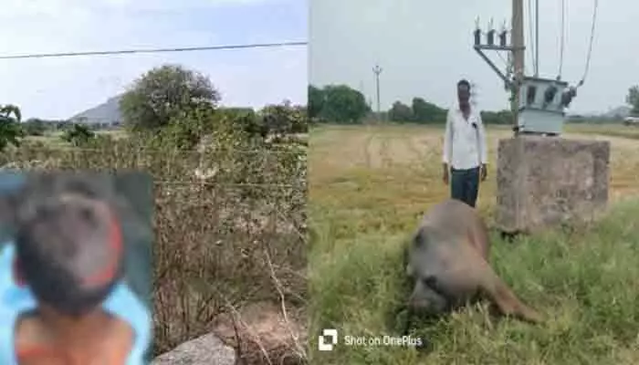 విద్యుత్ అధికారుల నిర్లక్ష్యం.. ప్రజలు, మూగజీవాల ప్రాణాలకు ముప్పు విద్యుత్ అధికారుల నిర్లక్ష్యం.. ప్రజలు, మూగజీవాల ప్రాణాలకు ముప్పు
