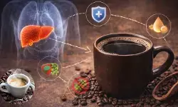 Health : లివర్ ఆరోగ్యంగా ఉండాలా? డైలీ ఒక కప్పు కాఫీ తాగండి!