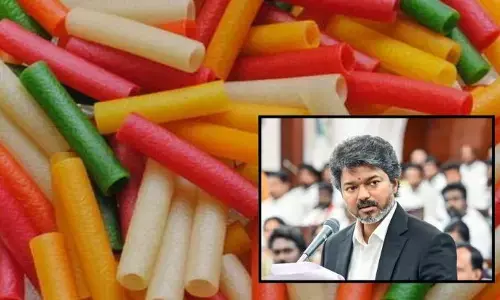 తమిళనాడు ప్రభుత్వం కీలక నిర్ణయం.. కలర్ పాపడాలపై నిషేదం