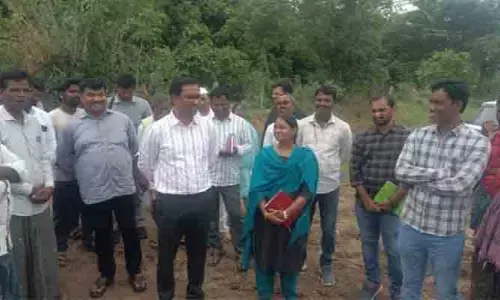 రైతులు ప్రత్యామ్నాయ పంటలు సాగు చేయాలి