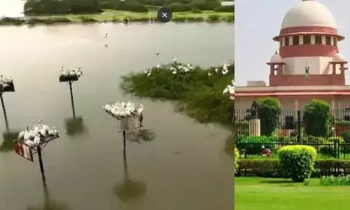 కొల్లేరు కాలుష్యంపై సుప్రీంకోర్టు కమిటీ విచారణ.. ప్రభుత్వానికి కీలక ఆదేశాలు
