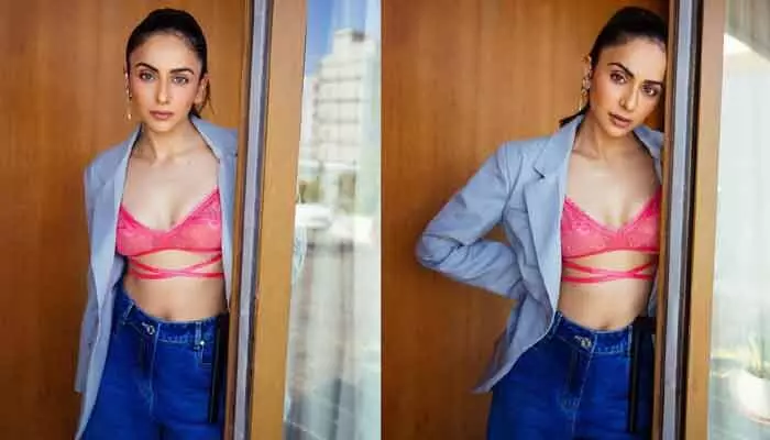 బాలీవుడ్లో ఒకరినొకరు తొక్కేయడమే తెలుసు.. టాలీవుడ్పై ప్రశంసలు కురిపించిన రకుల్ ప్రీత్సింగ్ బాలీవుడ్లో ఒకరినొకరు తొక్కేయడమే తెలుసు.. టాలీవుడ్పై ప్రశంసలు కురిపించిన రకుల్ ప్రీత్సింగ్