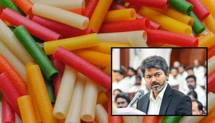 తమిళనాడు ప్రభుత్వం కీలక నిర్ణయం.. కలర్ పాపడాలపై నిషేదం తమిళనాడు ప్రభుత్వం కీలక నిర్ణయం.. కలర్ పాపడాలపై నిషేదం