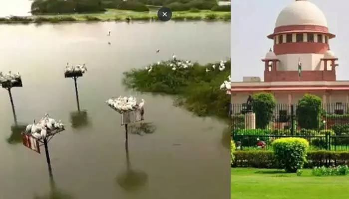 కొల్లేరు కాలుష్యంపై సుప్రీంకోర్టు కమిటీ విచారణ.. ప్రభుత్వానికి కీలక ఆదేశాలు కొల్లేరు కాలుష్యంపై సుప్రీంకోర్టు కమిటీ విచారణ.. ప్రభుత్వానికి కీలక ఆదేశాలు