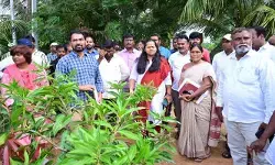 రైతులు సుస్థిర వ్యవసాయం దిశగా అడుగులు వేయాలి రైతులు సుస్థిర వ్యవసాయం దిశగా అడుగులు వేయాలి