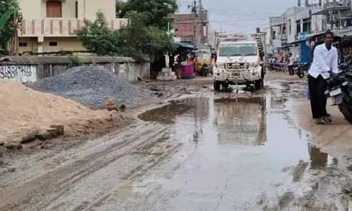 పారిశుధ్య పనులు నిర్వహించరా ?