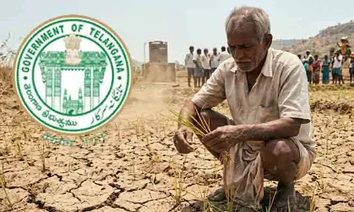 ఎల్‌నినో ఎఫెక్ట్.. రాష్ట్ర ప్రభుత్వం కీలక నిర్ణయం